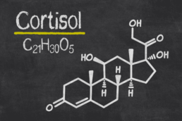 Il cortisolo interviene nel metabolismo degli zuccheri, delle proteine e dei grassi