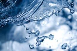 L’acqua svolge diverse funzioni all’interno dell’organismo