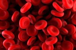 La carenza di queste vitamine influisce sulla capacità dell'organismo di produrre globuli rossi perfettamente funzionanti