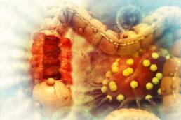 Le fibre alimentari possono contribuire a ridurre il tumore al colon retto