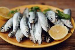 Tra gli alimenti ricchi di proteine si consiglia il consumo del pesce azzurro