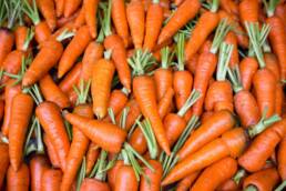Le carote sono ricche di vitamina C