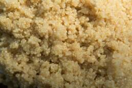 Mettere a cuocere la quinoa